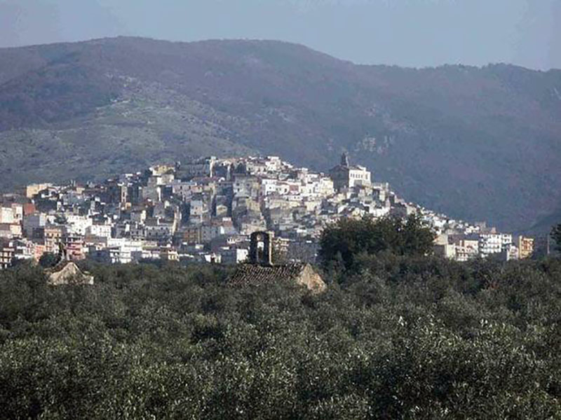 Carpino, panorama