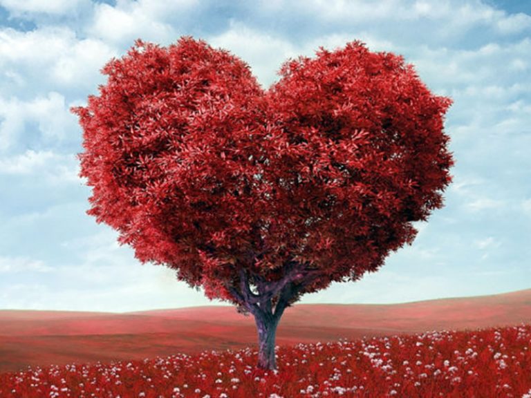 Amore fa rima con cuore!