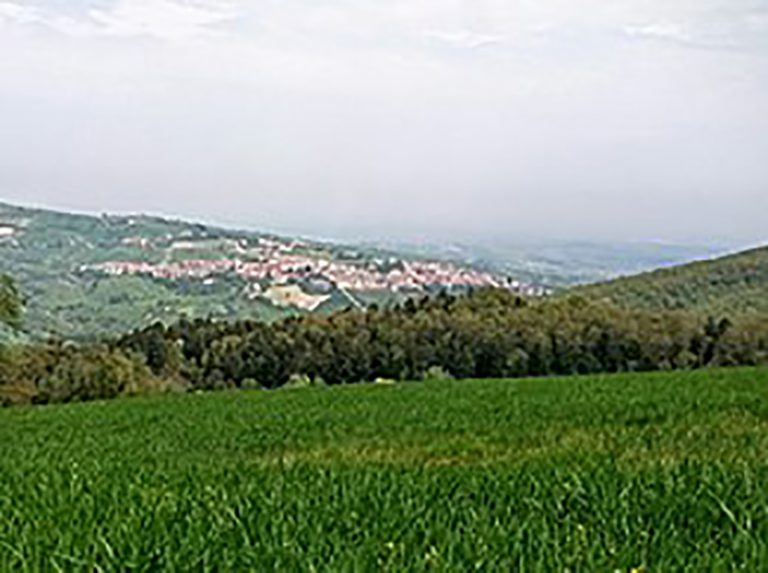 Castelluccio V., panorama