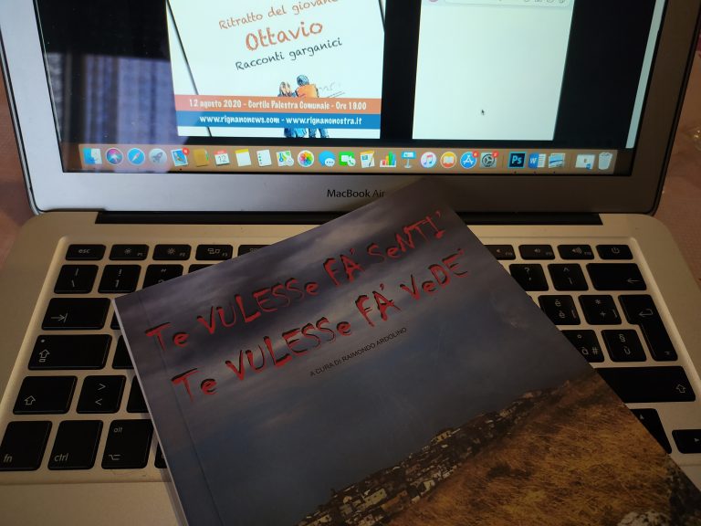 La copertina del volume 'Te vulesse fa' sentì, te vulesse fa' vedé'.