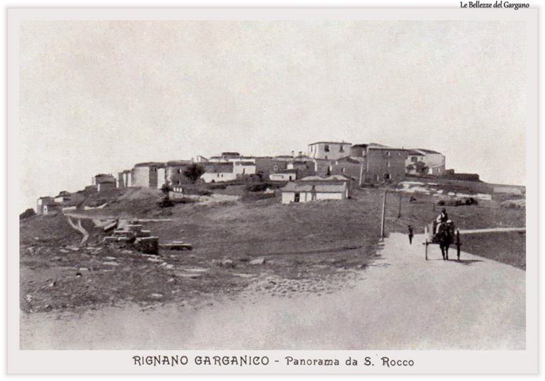 images_Rignano_RignanoFine800