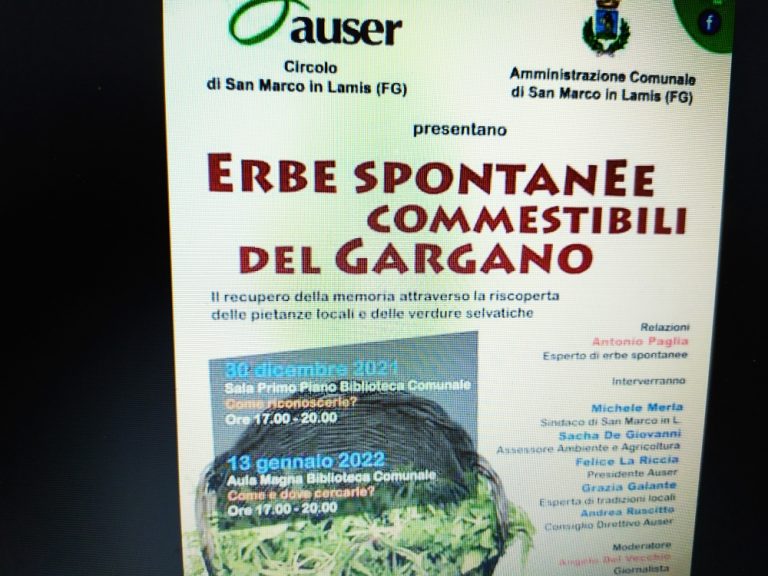 images_Gargano_VerdureSelvaticheOk