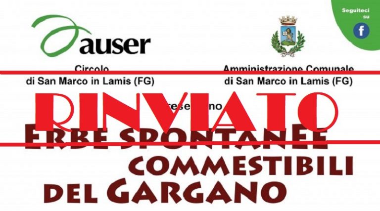 images_Rignano_VerdureSelvaticheRinviato