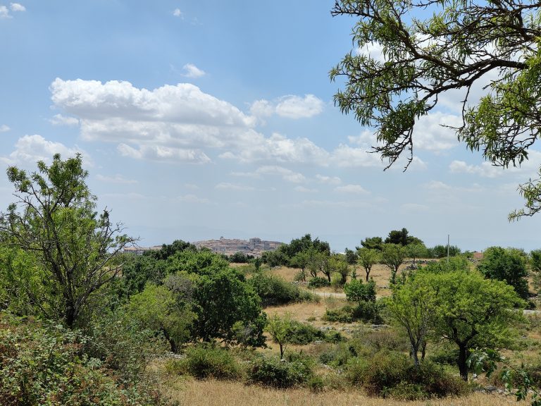 Rignano 14