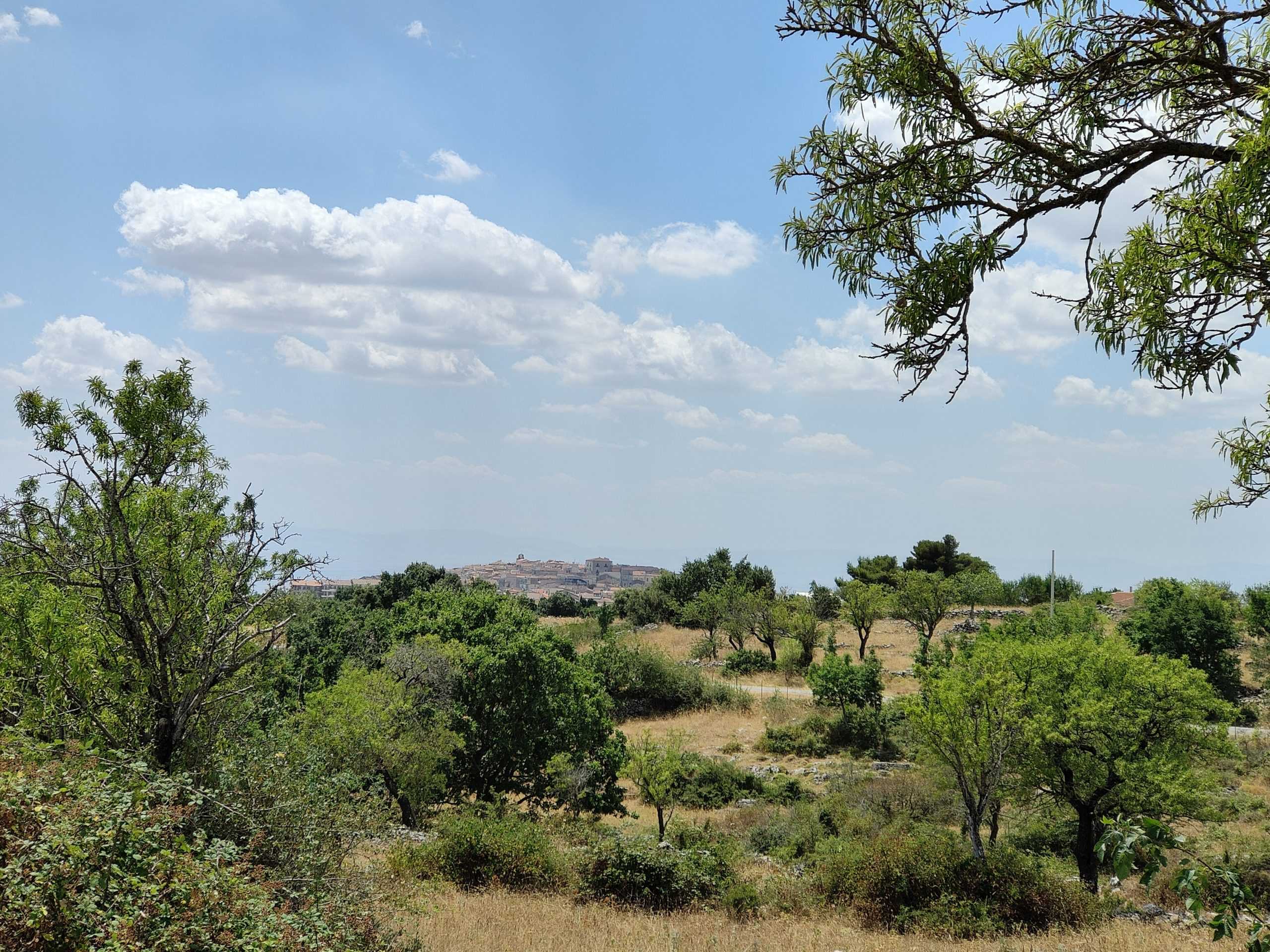 Rignano 14
