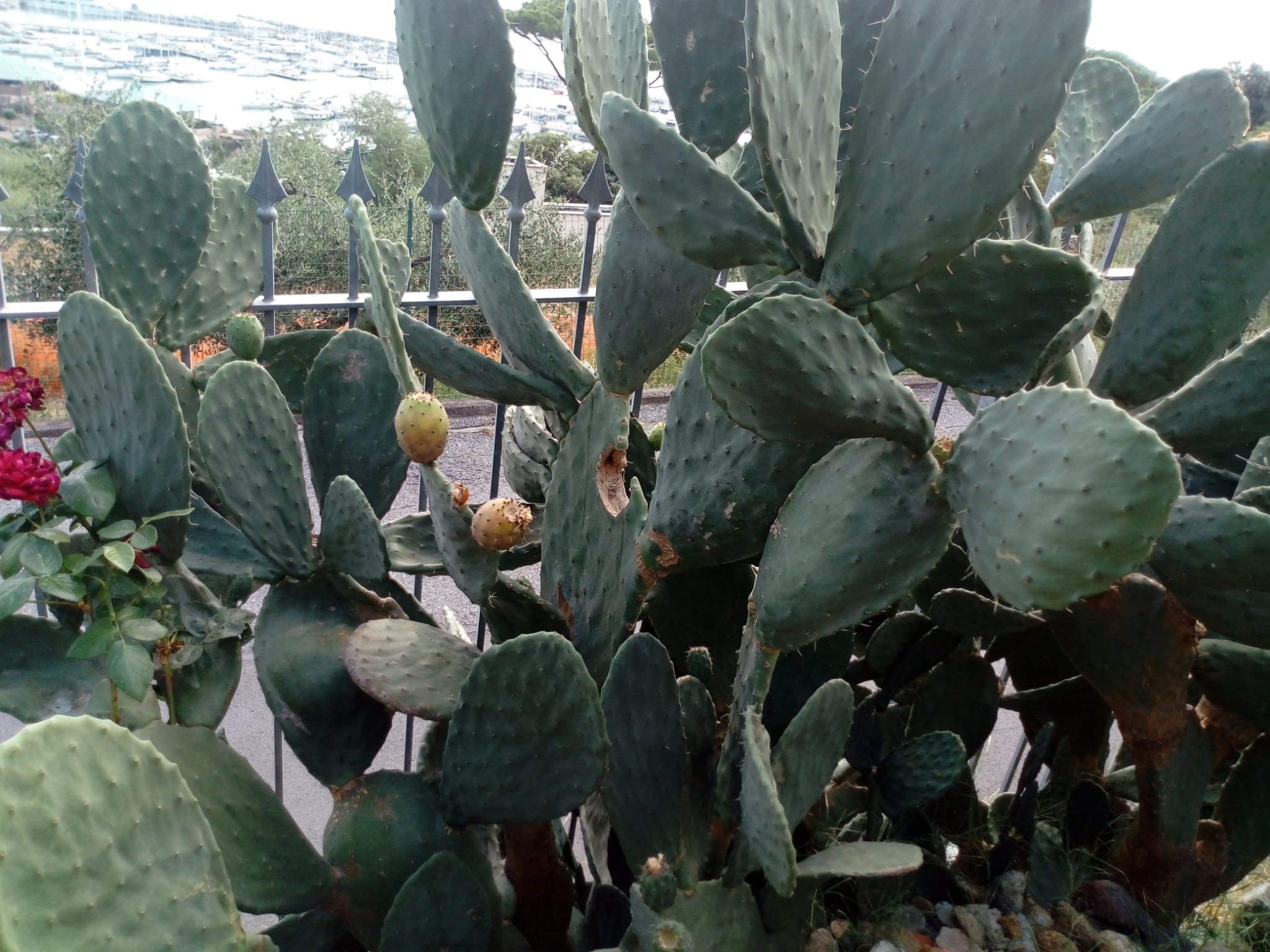IMG-20231009-WA0049