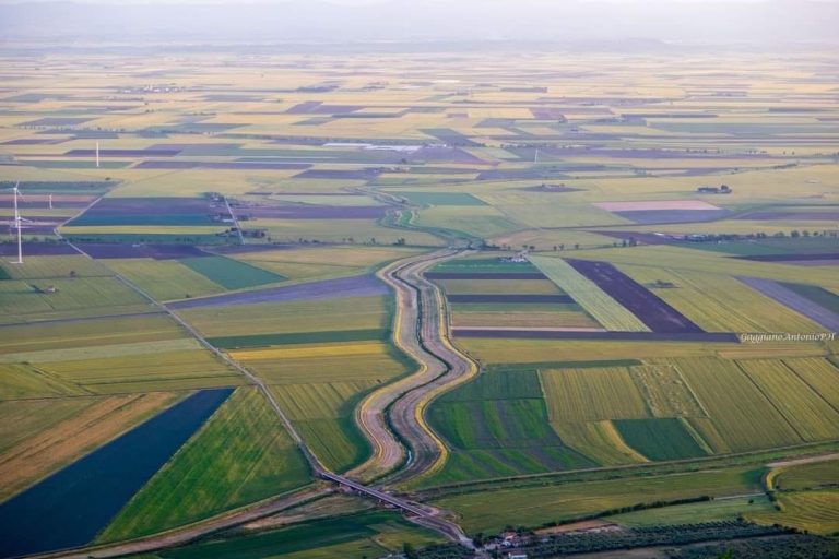 AgricolturaRignanoGarganico