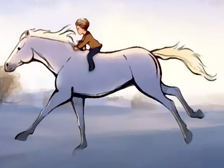 CavalloBiancoBambino