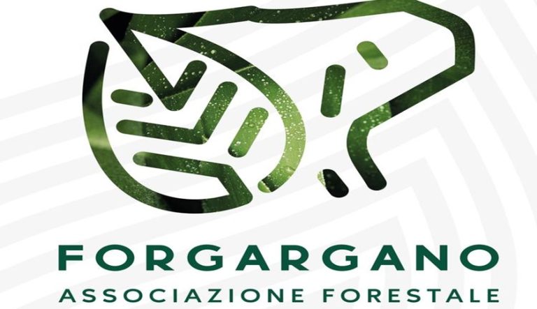 Forgargano