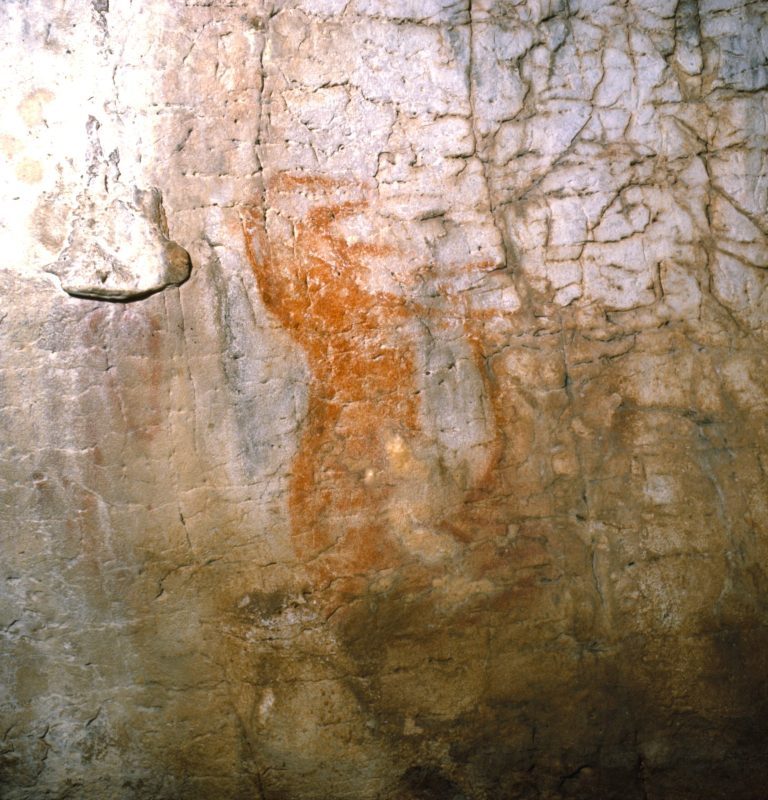 CavalloGrottaPaglicci