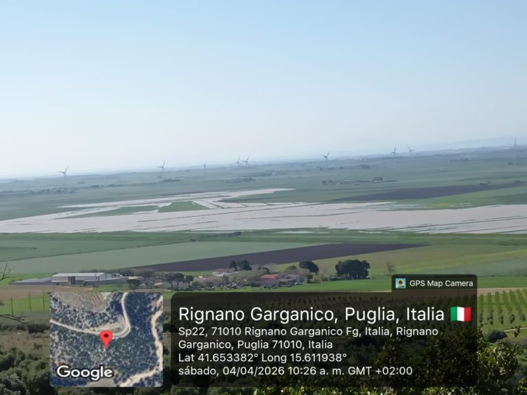 IMG-20260404-WA0053